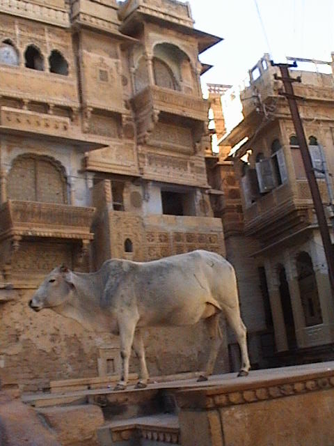jaisalmer