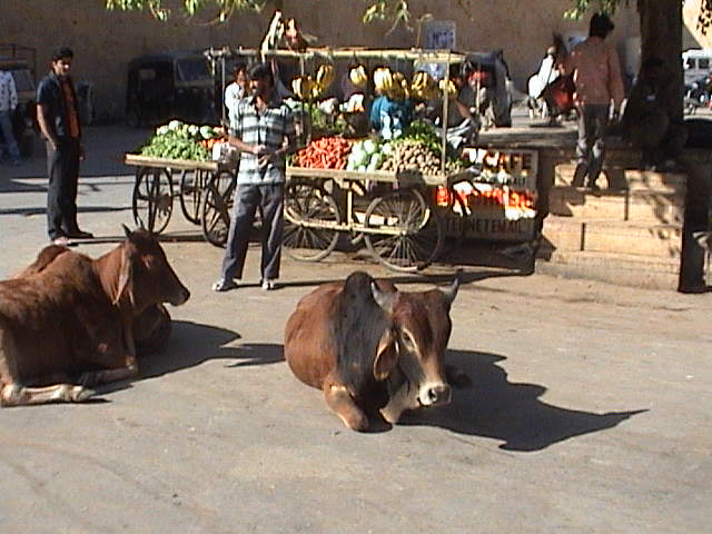 jaisalmer